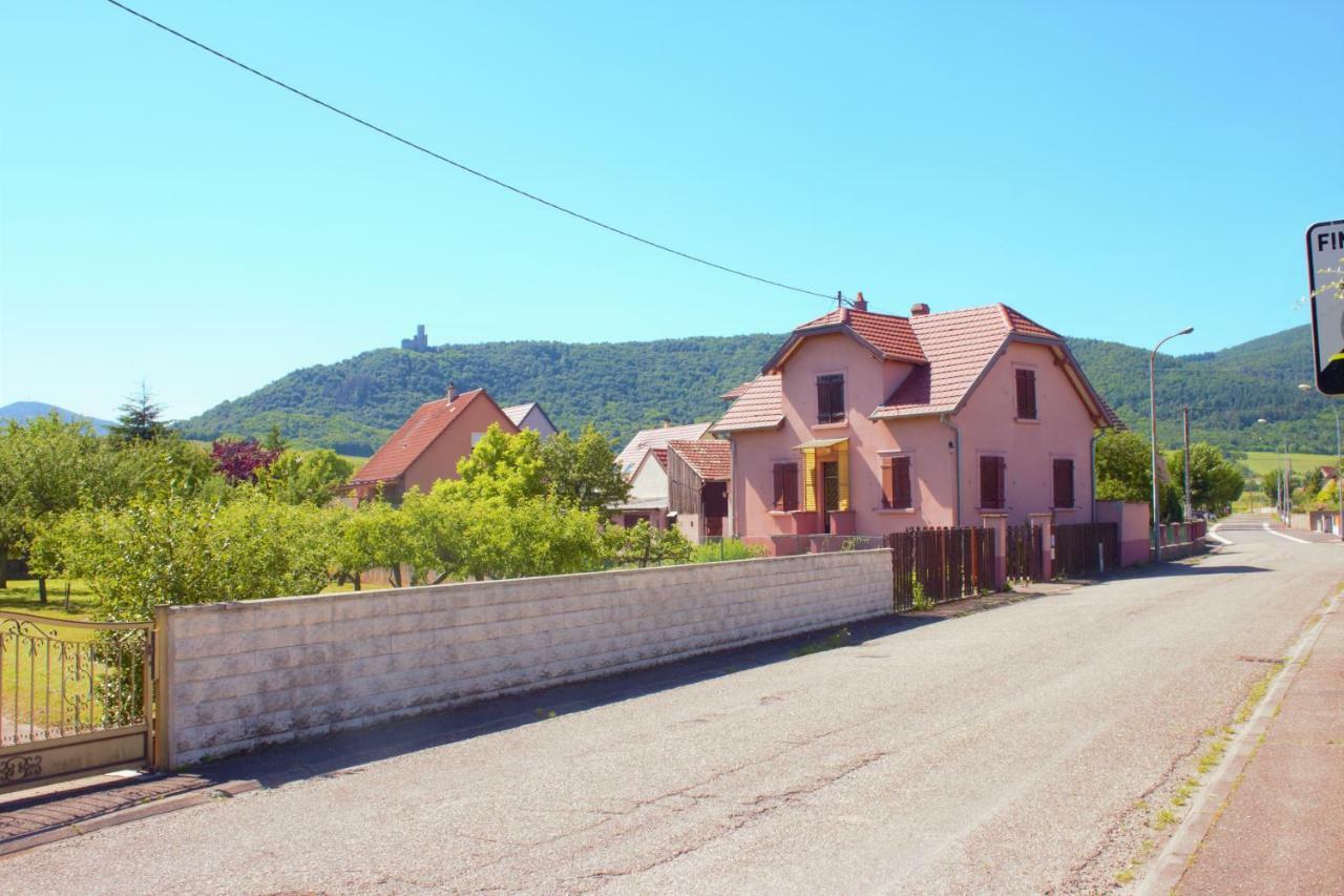 La Halte Des Vignes - Route Des Vins D'Alsace Scherwiller Exterior foto