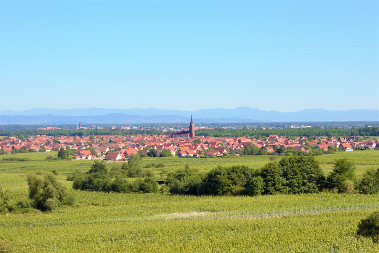 La Halte Des Vignes - Route Des Vins D'Alsace Scherwiller Exterior foto